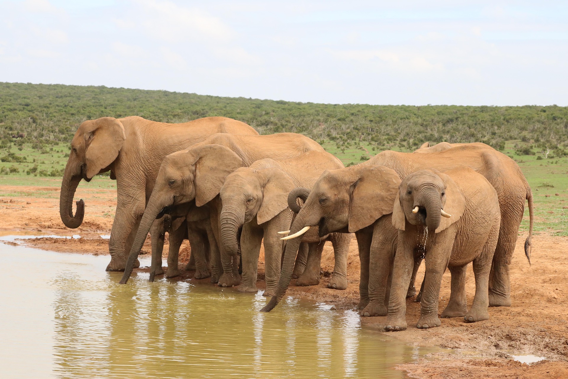 Tarangire National Park