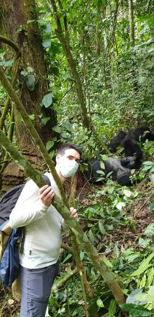 A memorable moment with the gorillas