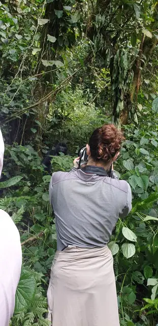 A quiet moment on the gorilla trail