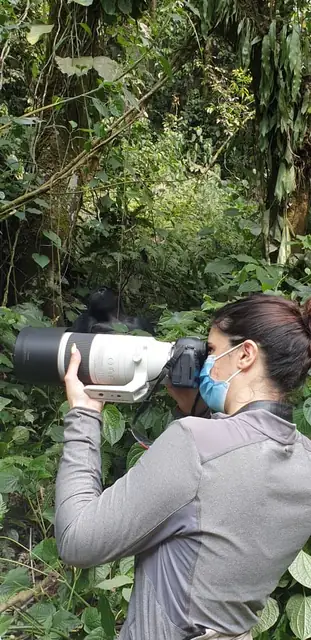 Capturing the gorilla experience through the lens