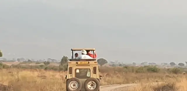 Safari vehicle on a scenic game-drive route