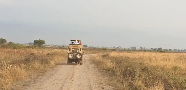 Following the open road on safari