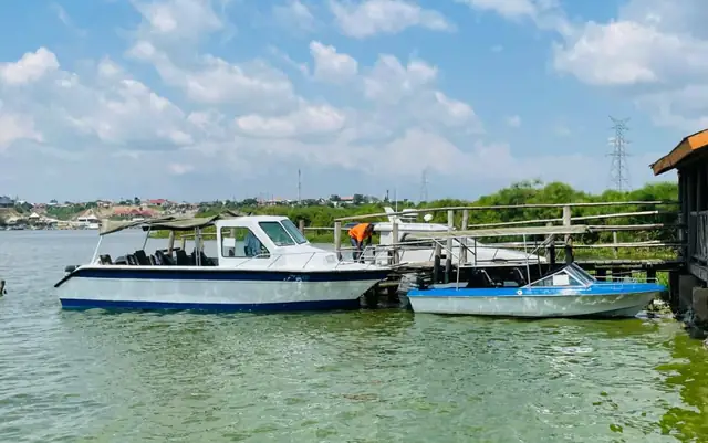 Boats gathered at the waterfront