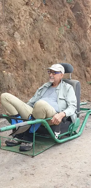 Resting comfortably along the forest route