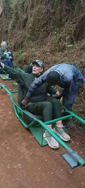 Assisted travel through challenging forest terrain
