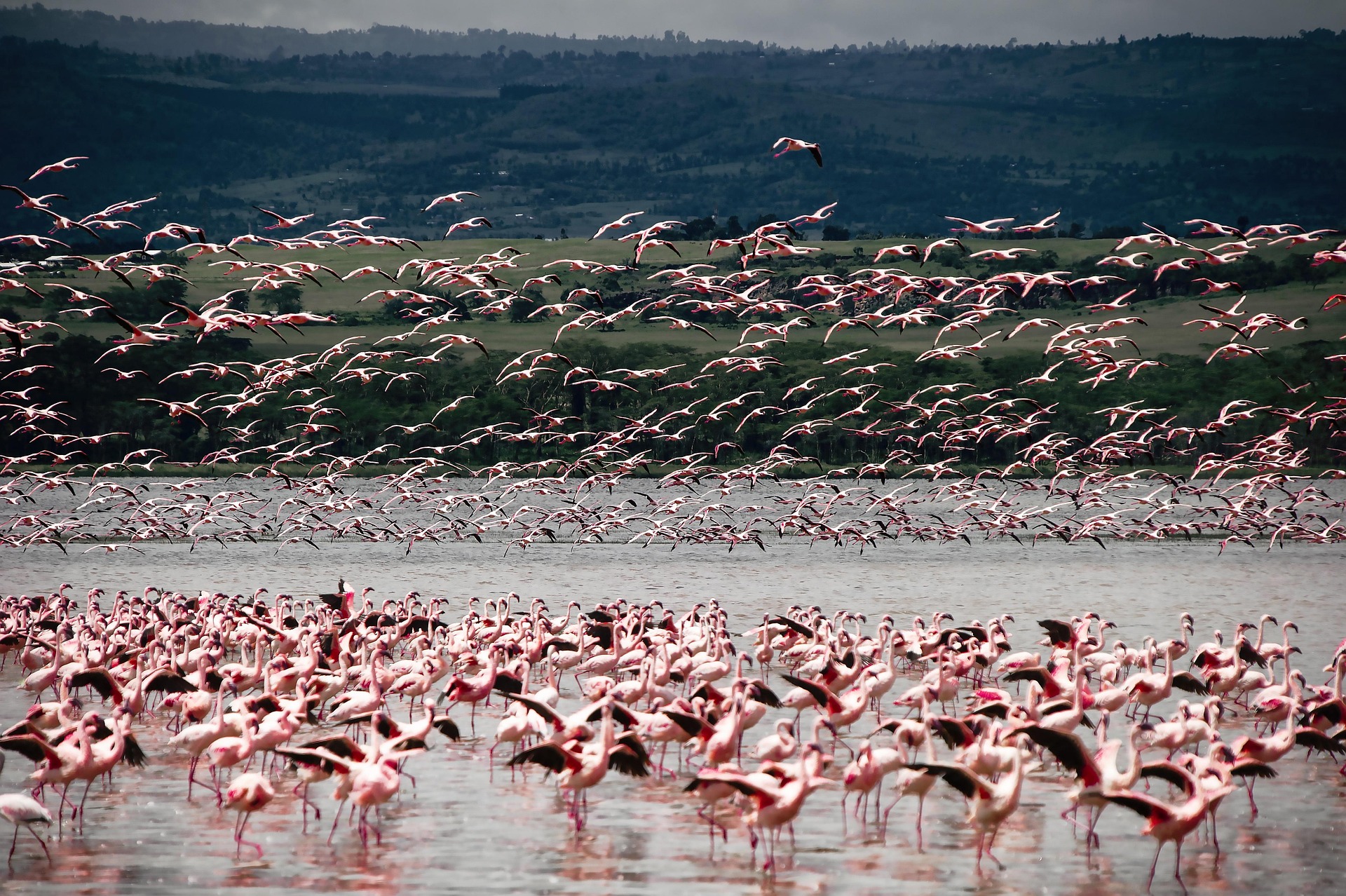 Lake Nakuru National Park