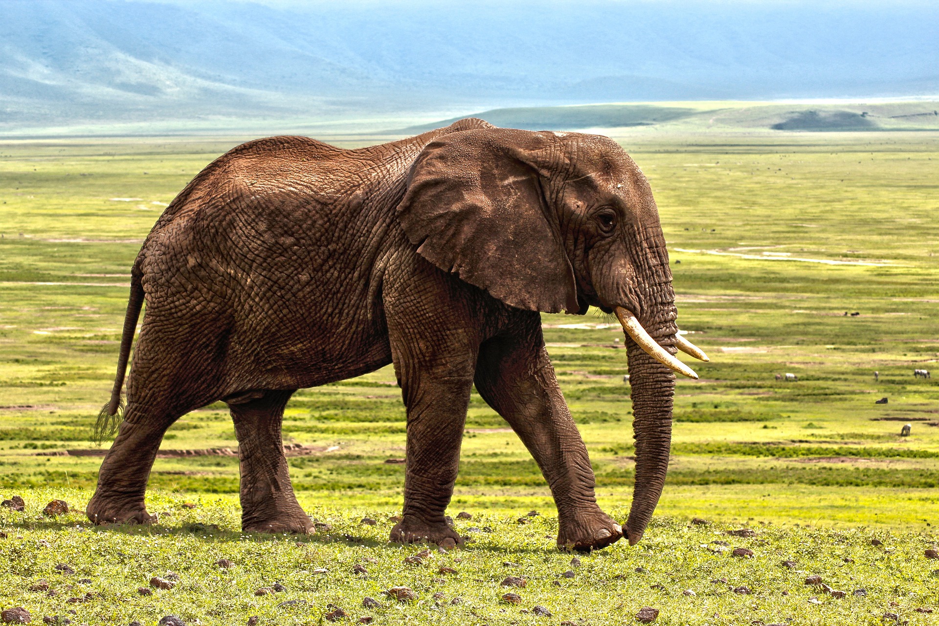 Amboseli National Park