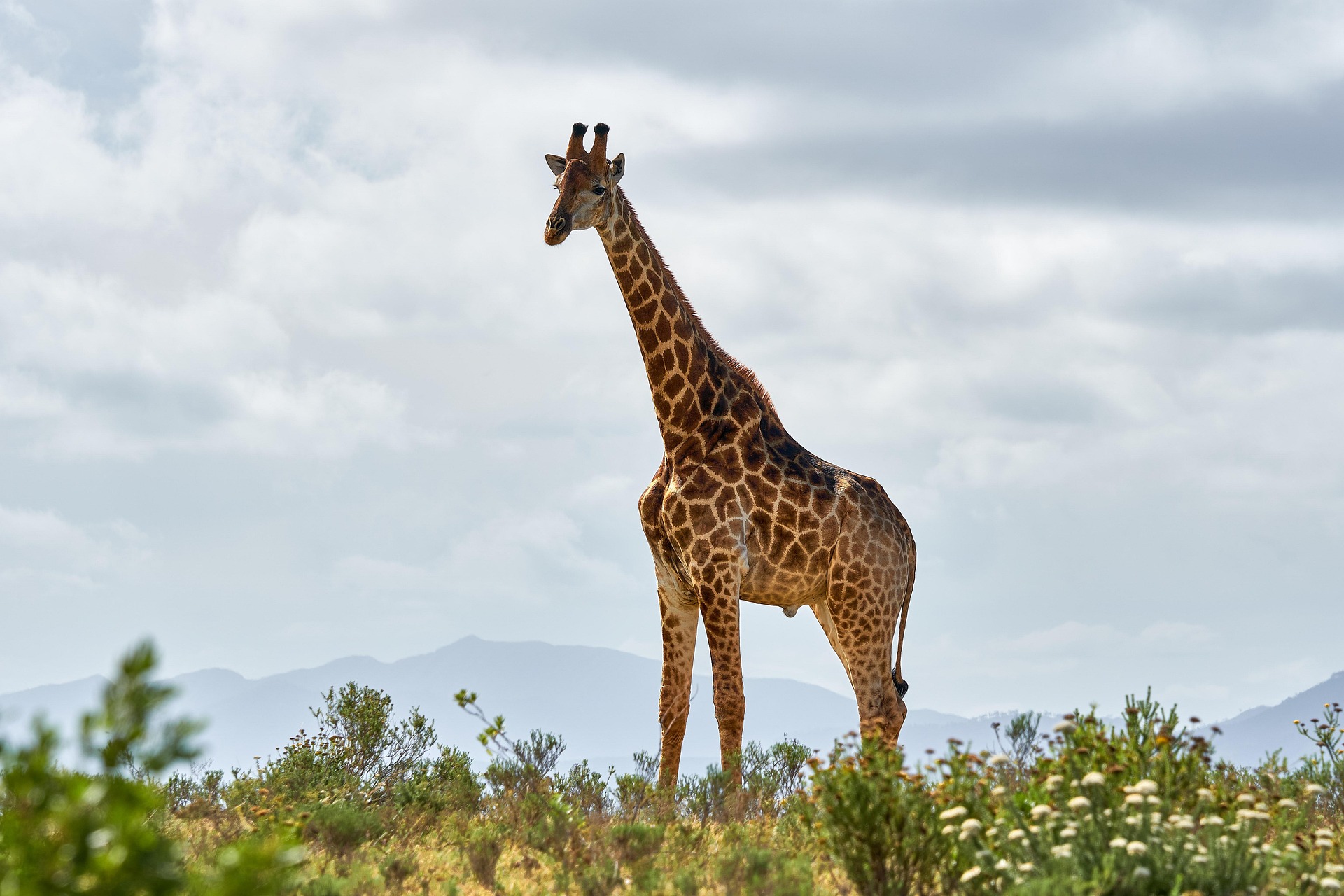 Tarangire National Park, Tanzania