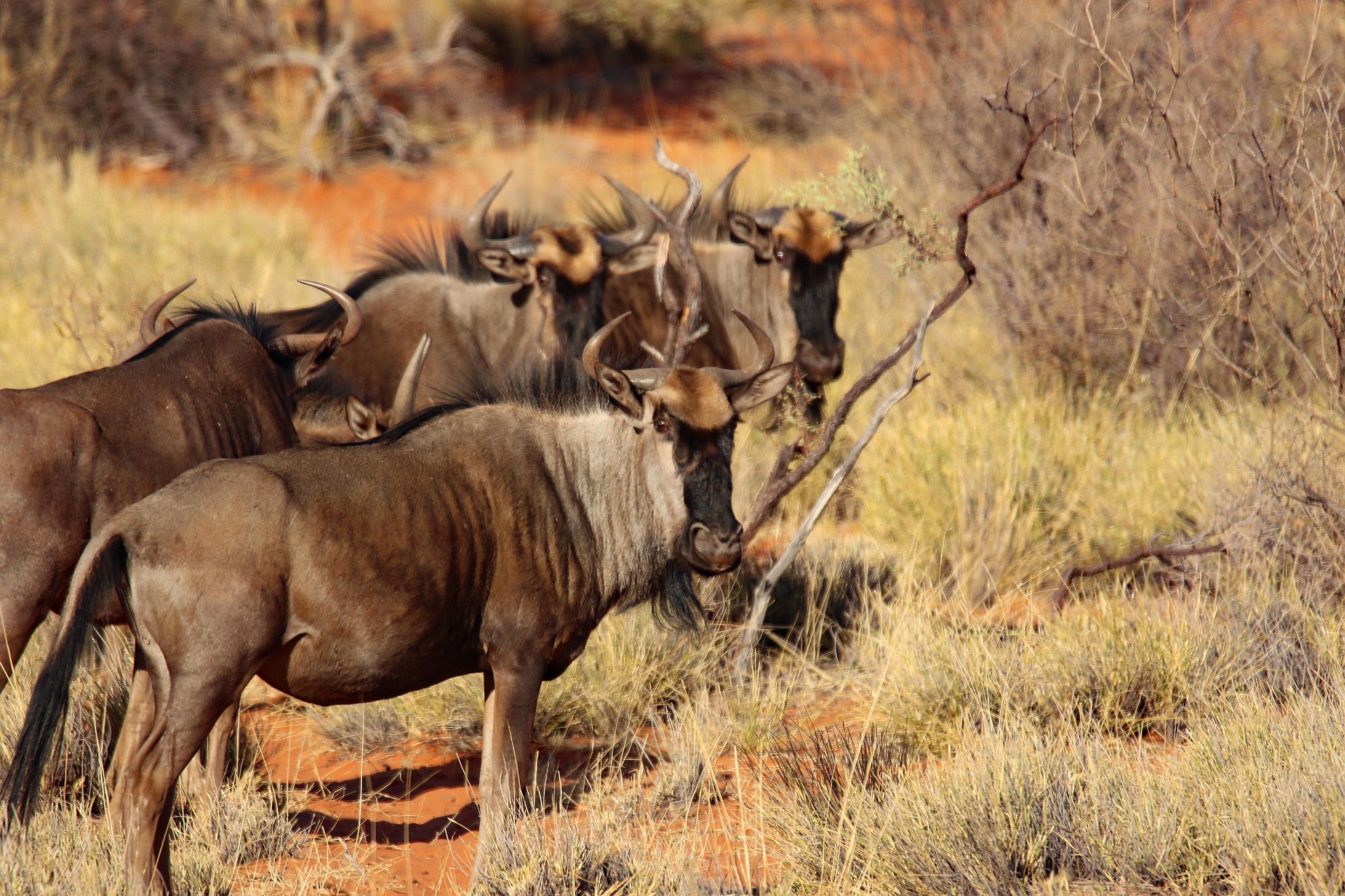 Serengeti National Park